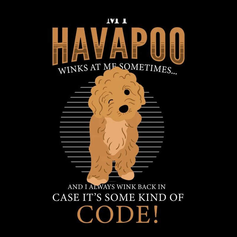 havapoo, havapoo Pudel Mischling, havapoo humor,