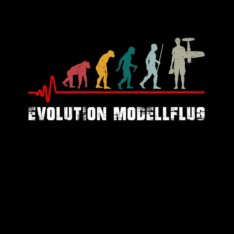 Modèle vol évolution rétro vintage cadeau