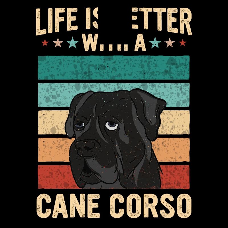 Cane Corso Hund