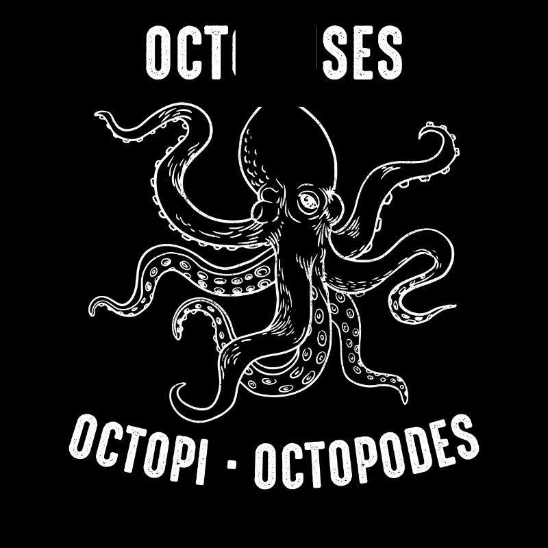 Octopus Octopus Cuttlefish Animal