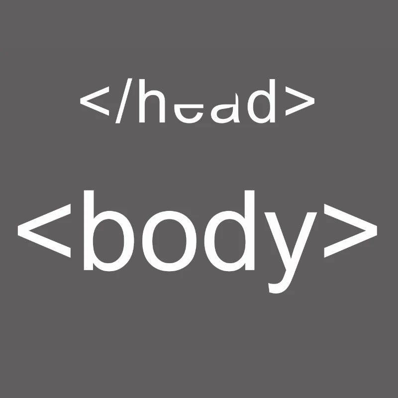 Programmation de chemise de programmeur