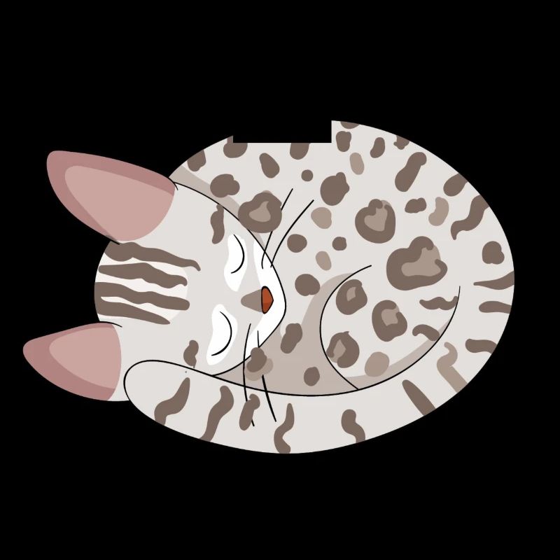 Chat de Bengale Chat