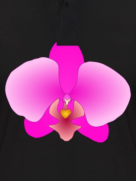 orchidée rose
