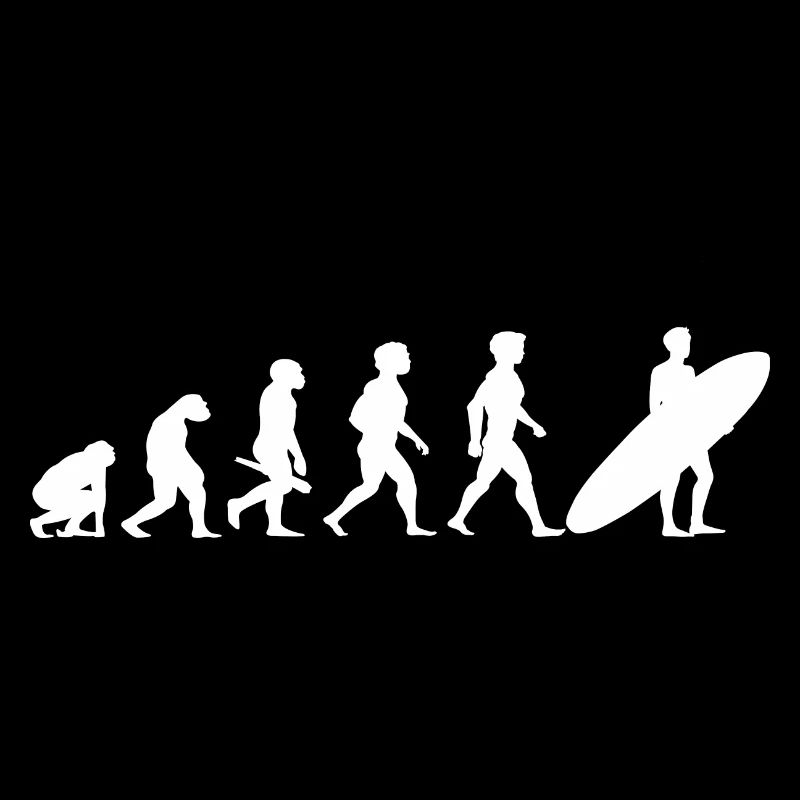 Evolution Surfing Surfer Surfboard Wellenreiten