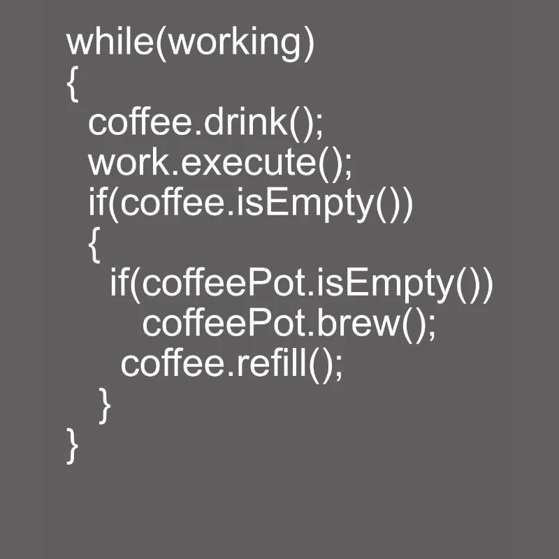 Source code Program code for programmers