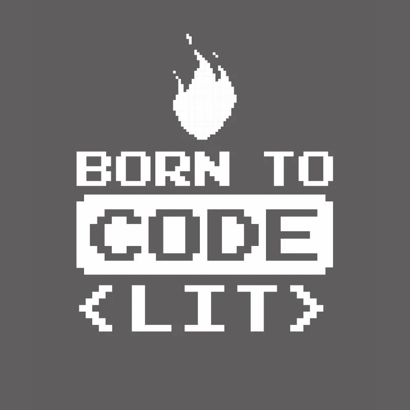 Developer Coder Programmer Funny