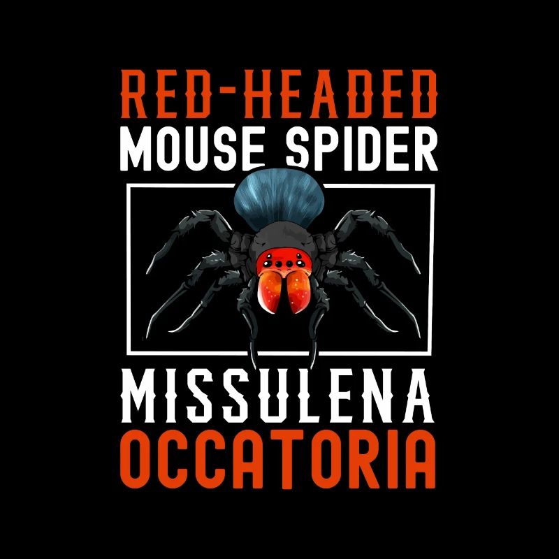 Little Red-headed Mouse Spider
