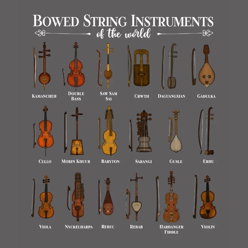 Various String Instruments