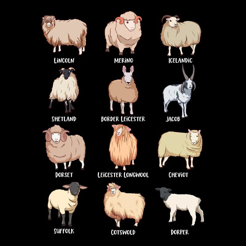 Assorted Kawaii Sheep