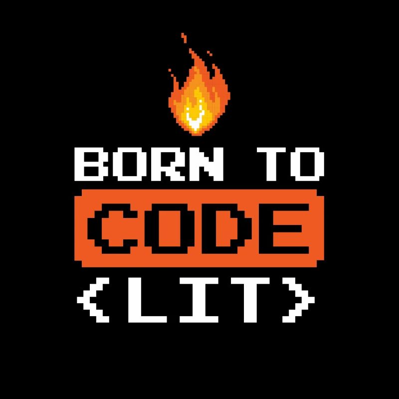 Developer Coder Programmer Funny