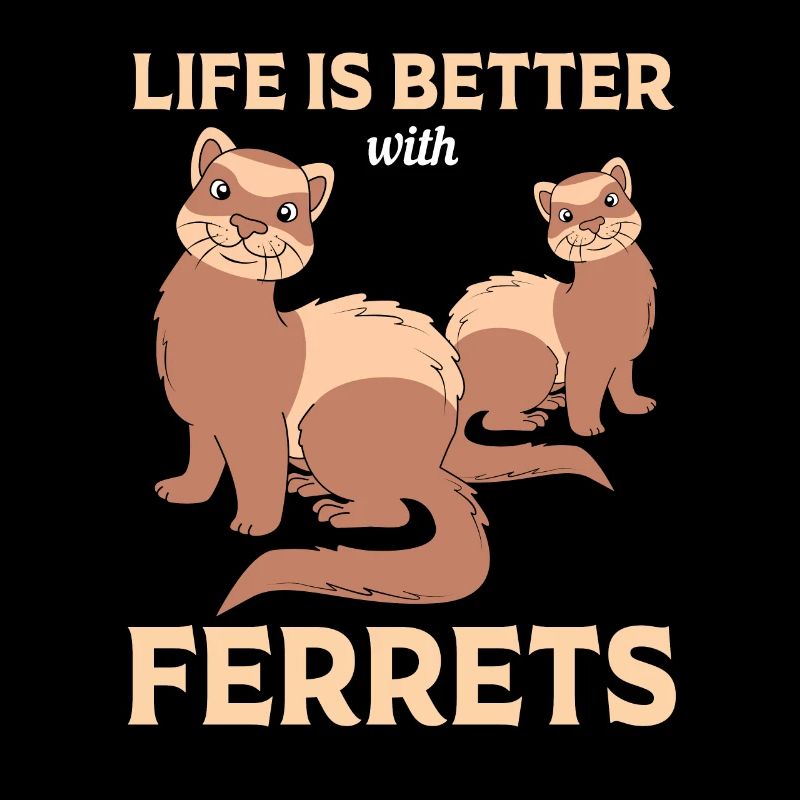 Furet