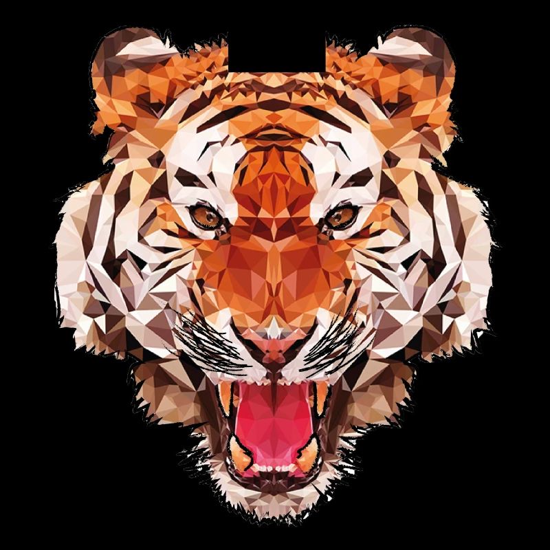 Conception de polygone de tigre