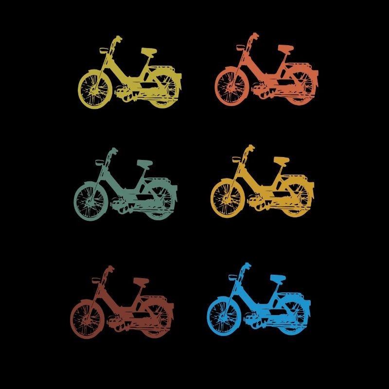 DDR Mobylette Oldtimer Roller Mofa Scooter 2 Takter