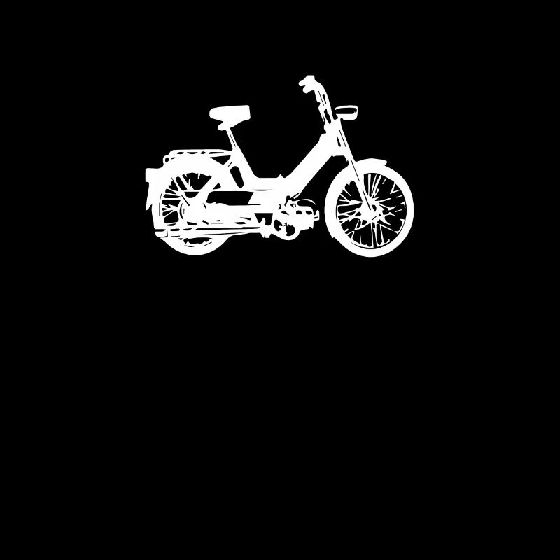 DDR Mobylette Oldtimer Roller Mofa Scooter 2 Takter