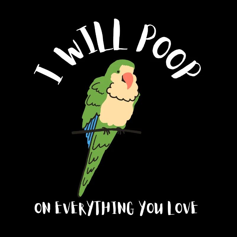 Blue Quaker Parrot Mom