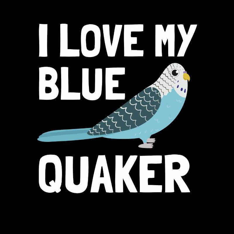 Blue Quaker Parrot Mom