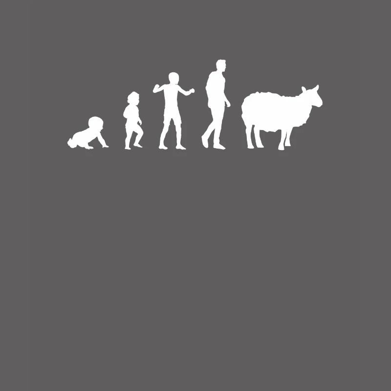 evolution bebe sheep humor sheep breeder