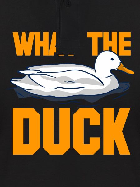 Qu’est-ce que le canard