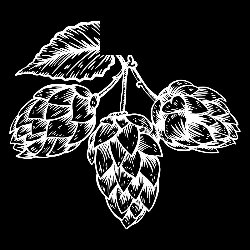Hops malt beer yeast fermentation beer production pils
