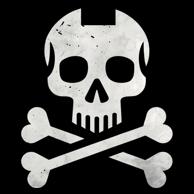 Skull Crossbones Skeleton Pirate