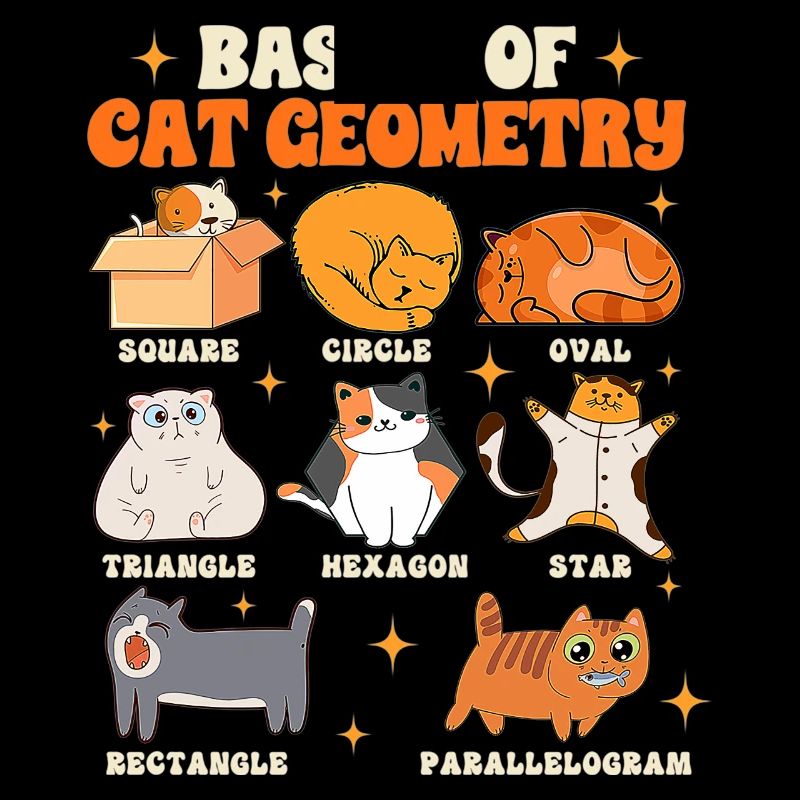 Math Teacher Life Teaching Basics Of Cat Geometry