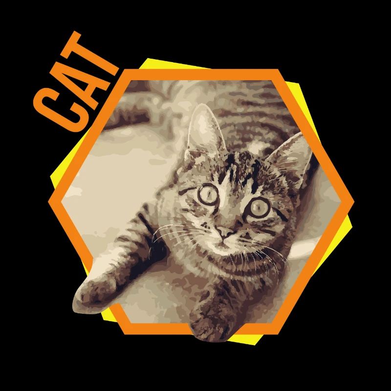 Chat Bengal Chat Siam Cadeau Persan