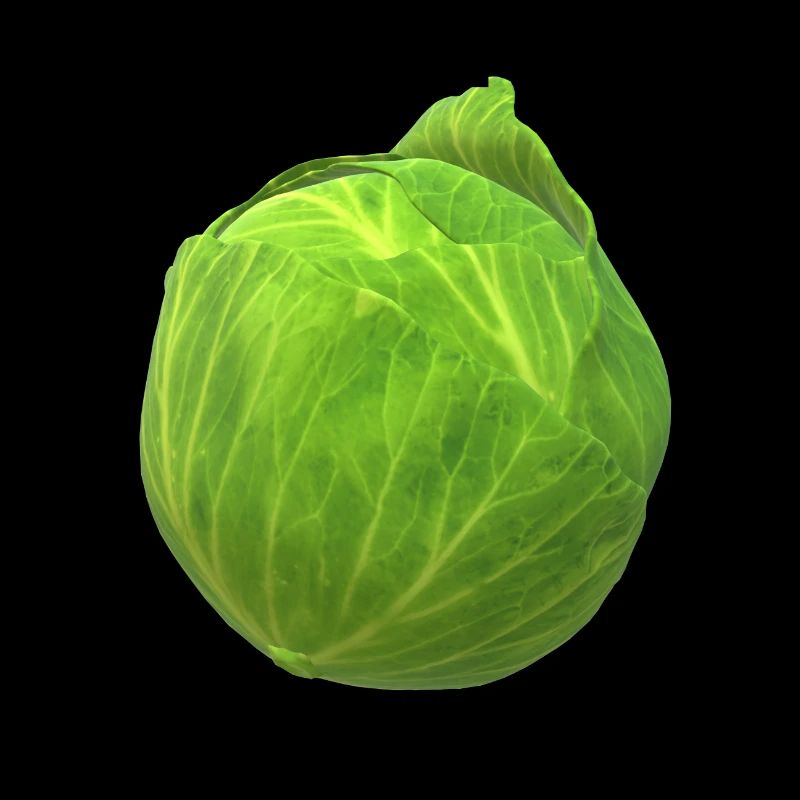 Kohl das gesunde Gemüse