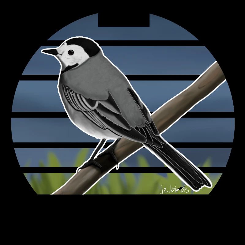 Illustration de conception d'oiseau bergeronnette peinte