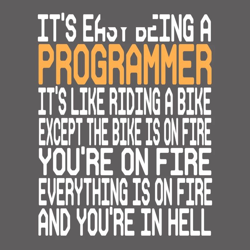 Programmer