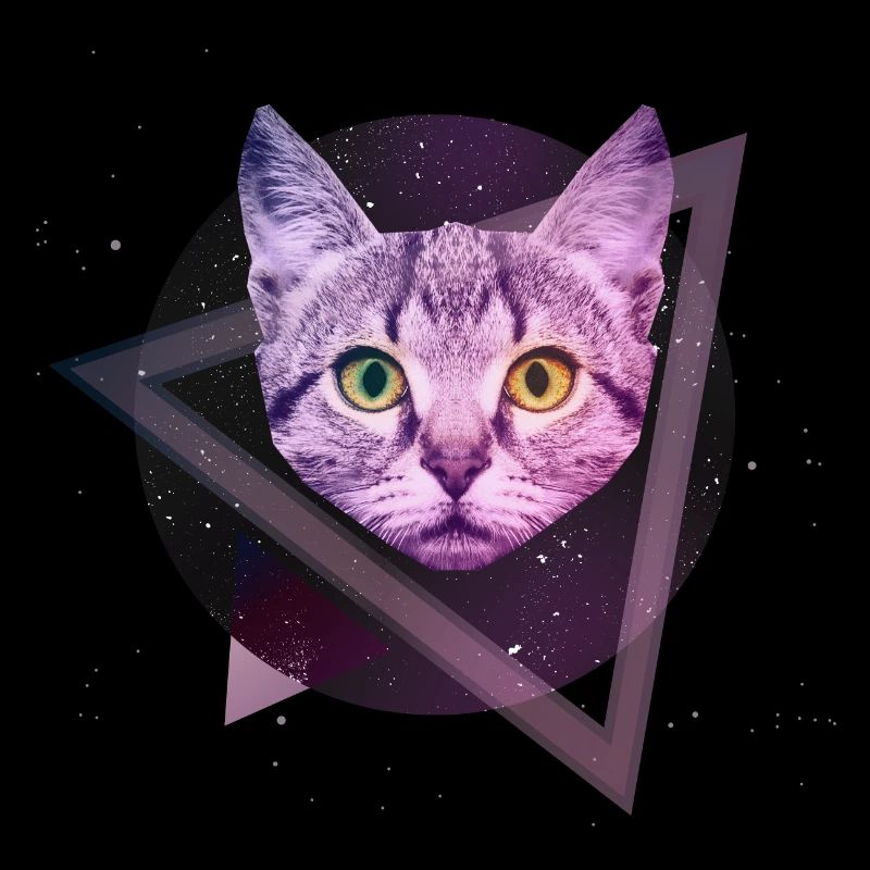 Chat de l'espace