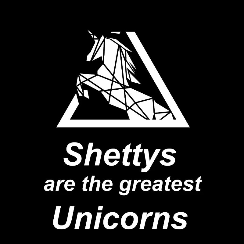 Shetty Shetland Pony Einhorn