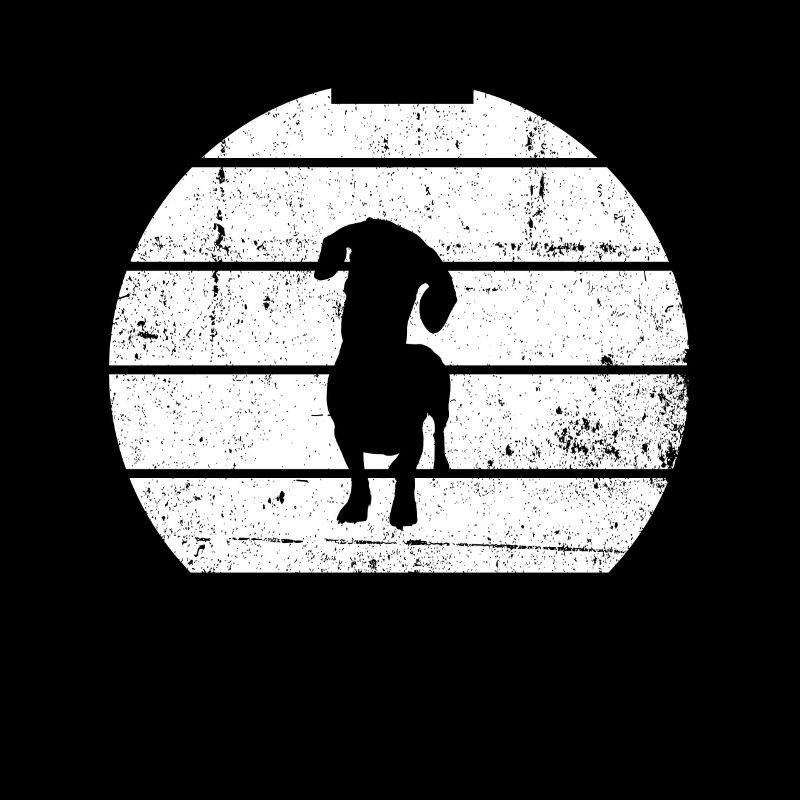 Teckel Chien de toit Teckel