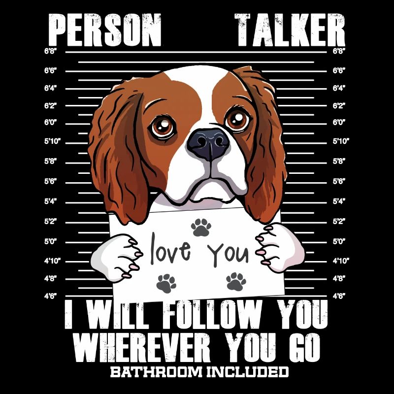 Visage drôle de Cavalier King Charles Spaniel