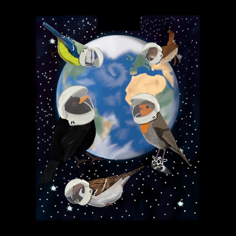 Oiseaux dans l’espace Merle mere bleue Moineau de clôture