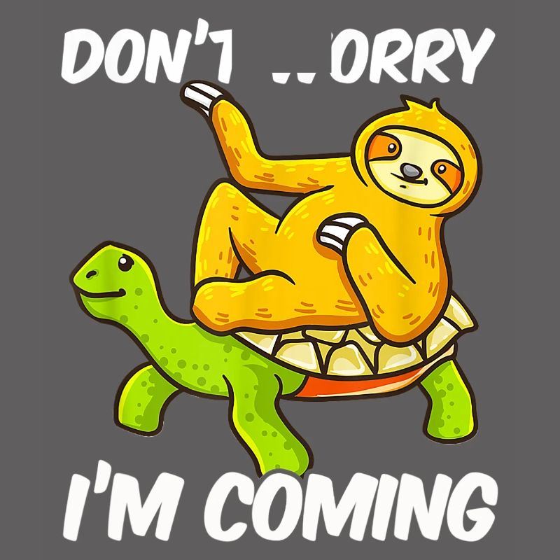 Sloth sloth lazy riding turtle
