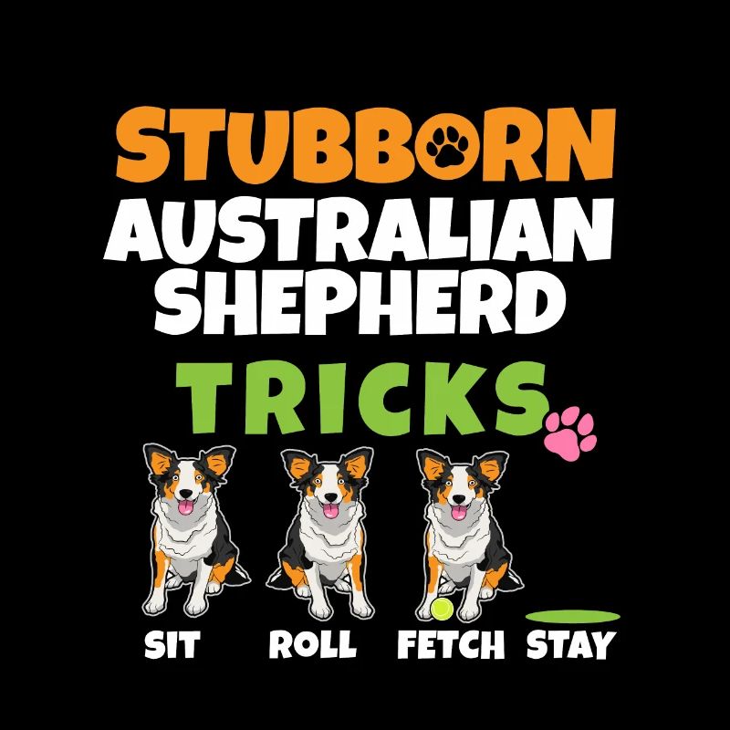 Stubborn Australian Shepherd Tricks I Australian
