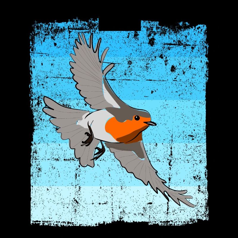 Observation des oiseaux Oiseaux Observation des oiseaux Oiseaux