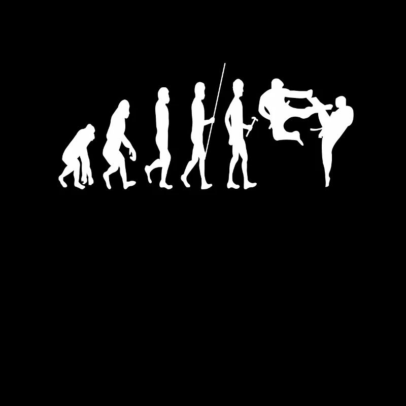 Karate Evolution