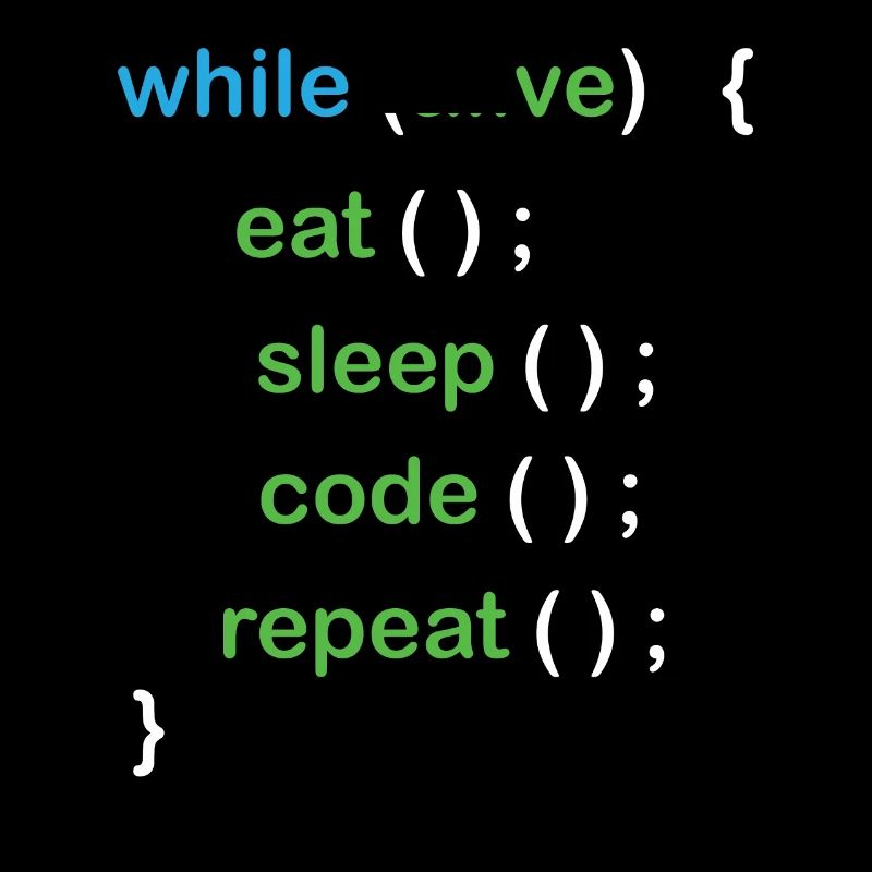 Python Coding Software Developer