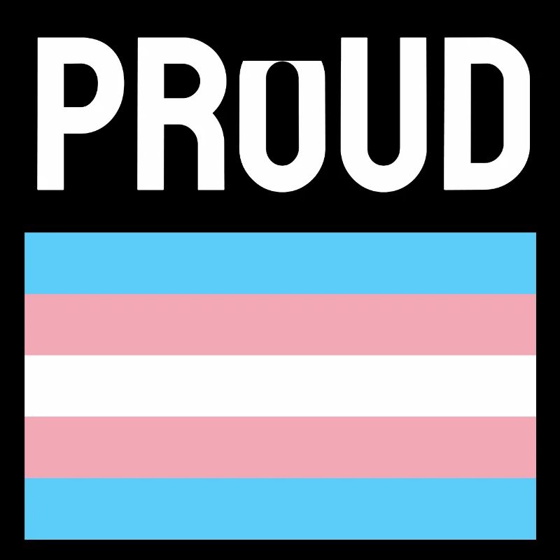 Trans Pride transfierté Drapeau Fier