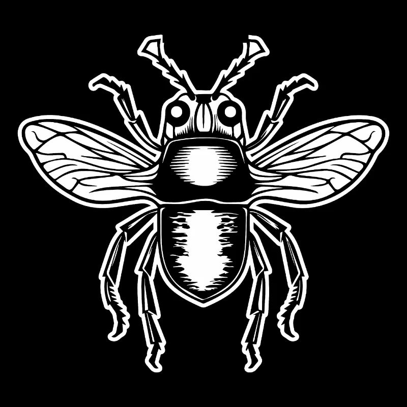 Insectes, bestioles, arthropodes