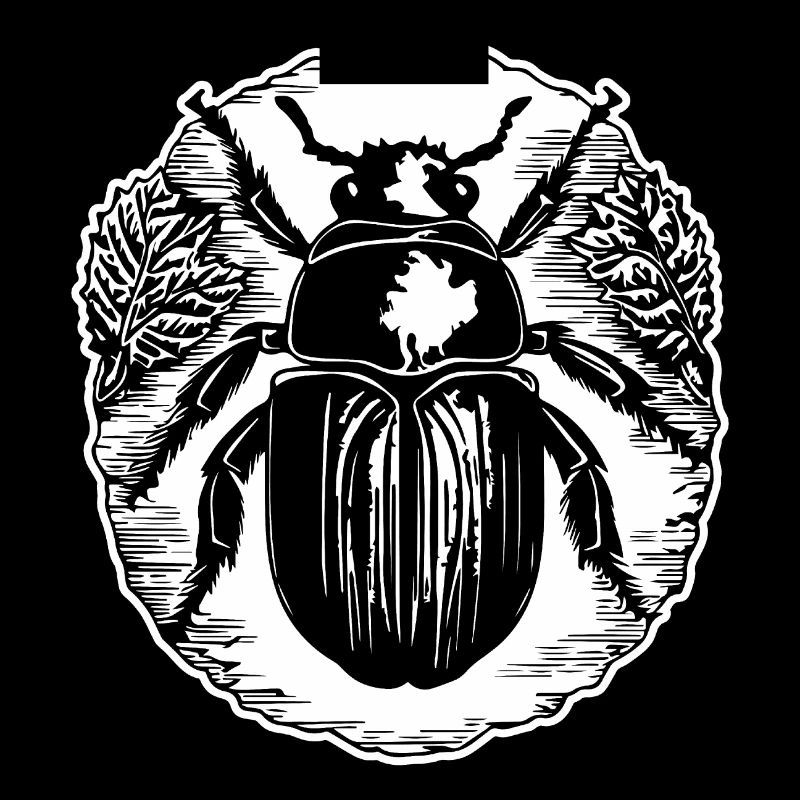 Insects, creepy-crawlies, arthropods