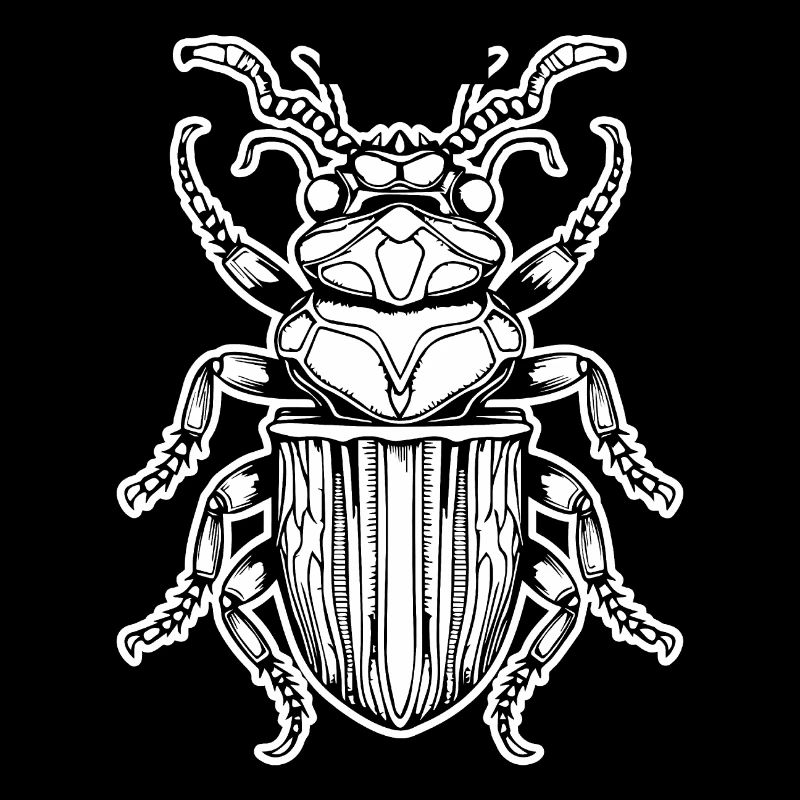 Insectes, bestioles, arthropodes