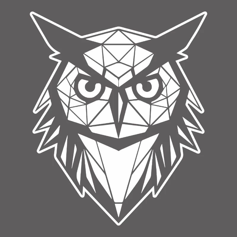 Eule Eulen Vogel Vögel