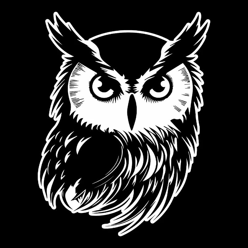Hibou Hibou Oiseaux Oiseaux