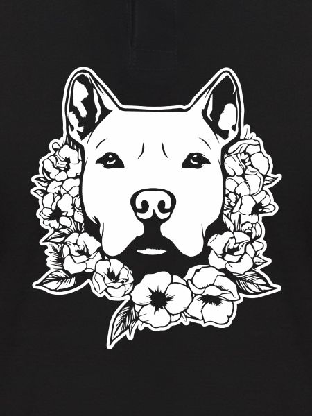 Pitbull