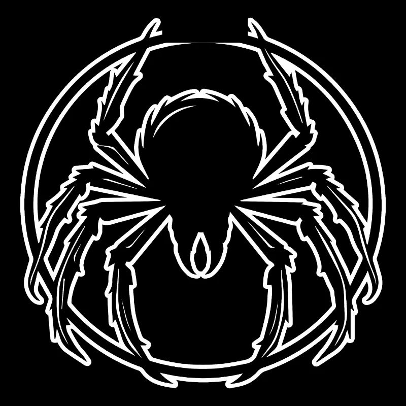 Spinne Spinnen Tiere