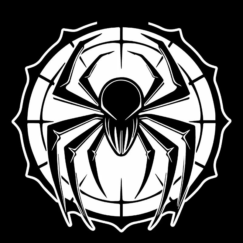 Spider spiders animals