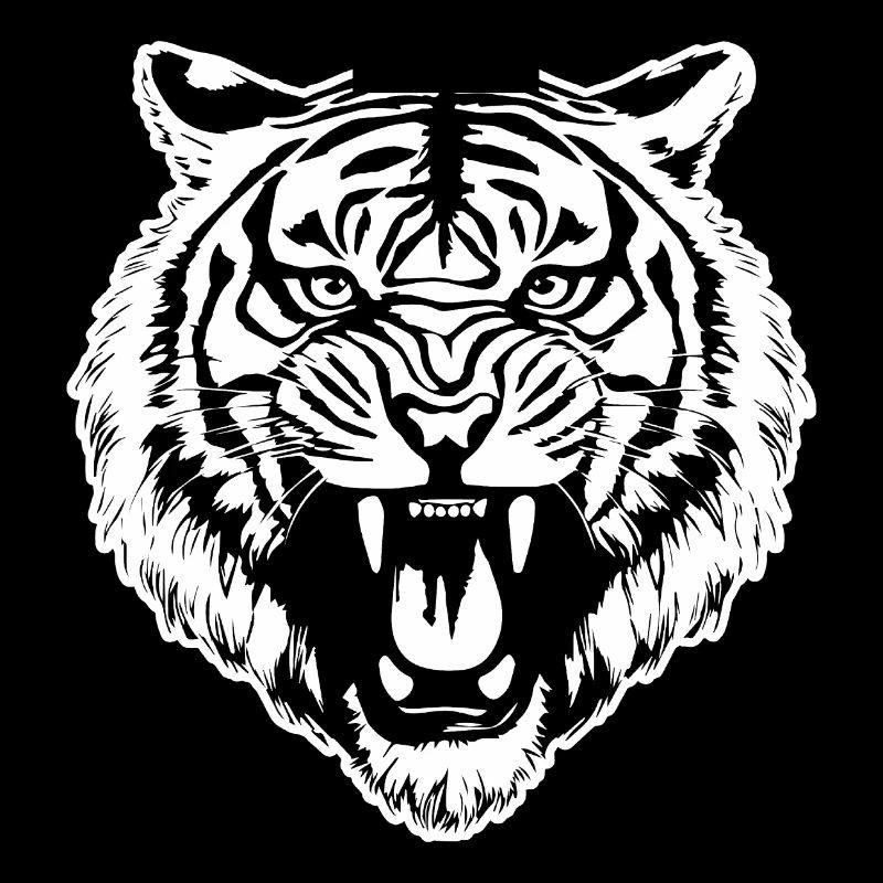 Tiger Big Cat