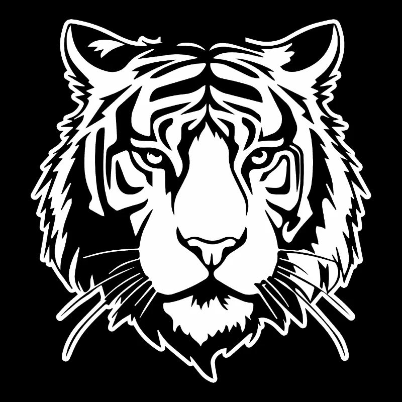 Tiger Big Cat